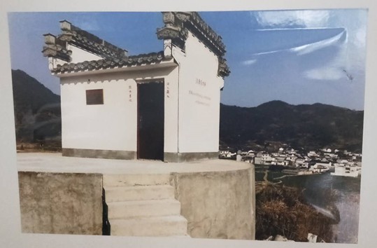 彩神(Vll)股份有限公司 - 追求健康一起成长