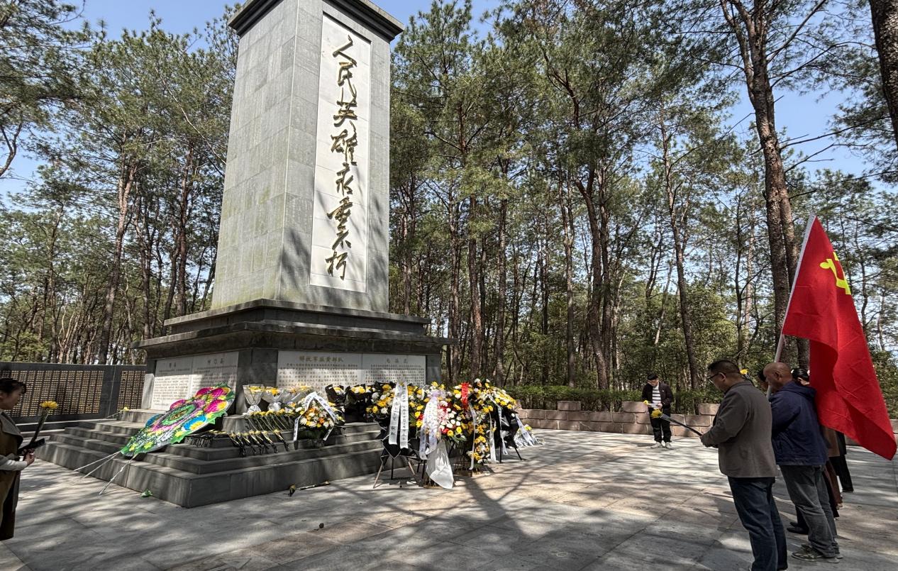 彩神(Vll)股份有限公司 - 追求健康一起成长