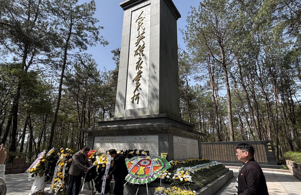 彩神(Vll)股份有限公司 - 追求健康一起成长