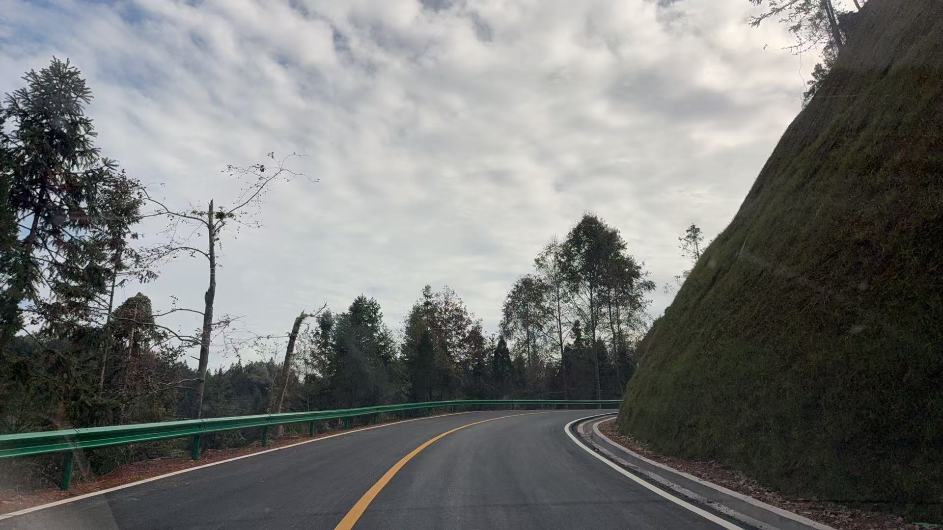 彩神(Vll)股份有限公司 - 追求健康一起成长